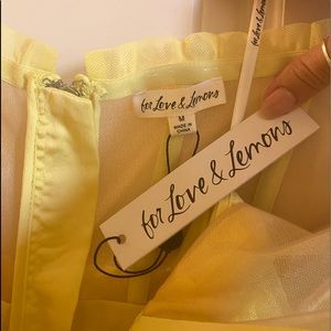 For love and lemons sheer dress